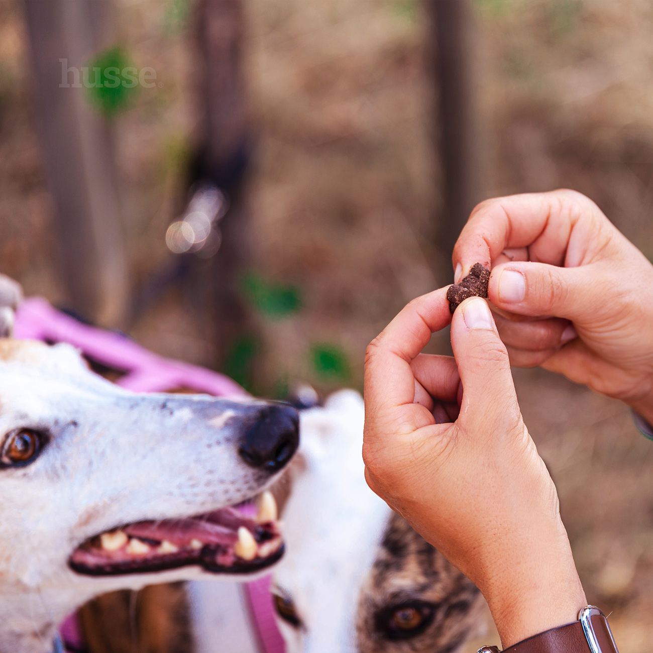 Bravo, 150 g | Gluten free snacks with lamb