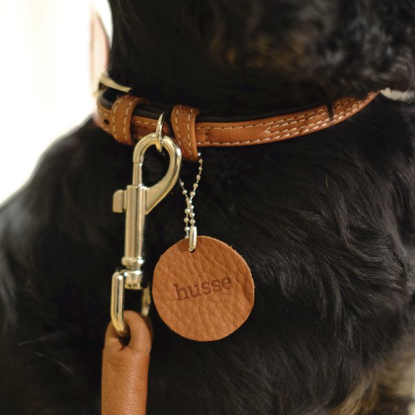 Stroll Collar, S | Adjustable dog collar