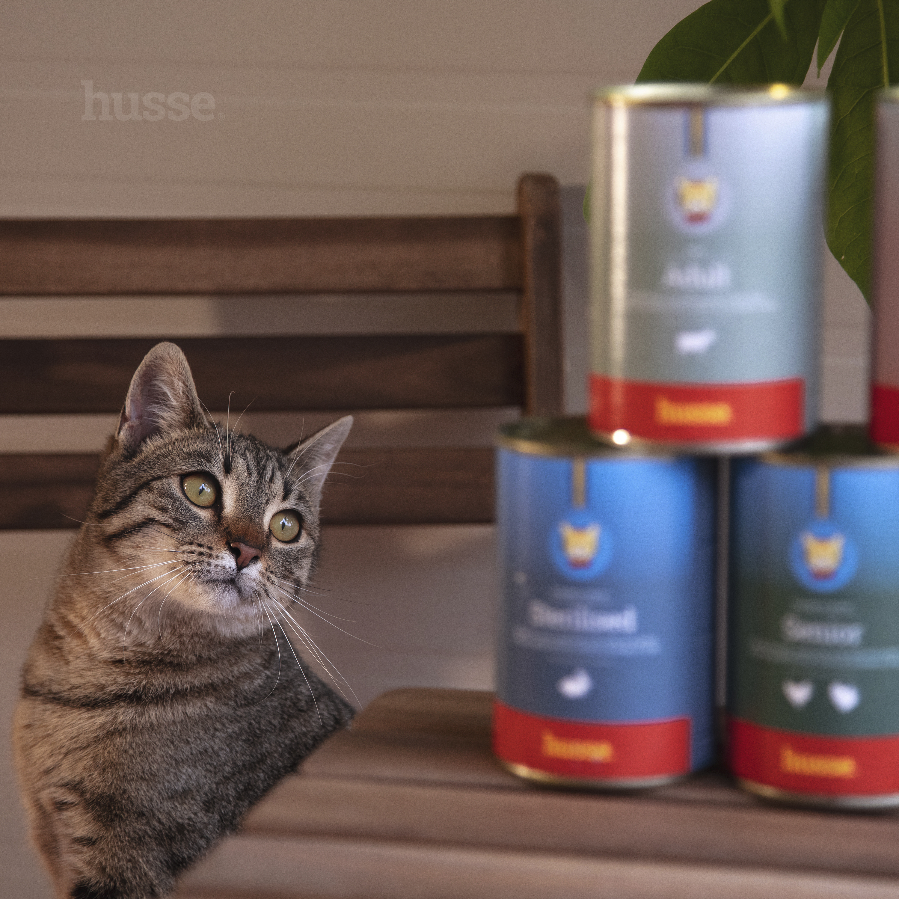 Adult, 415 g | Tasty chunks with beef in a delicious gravy for cats