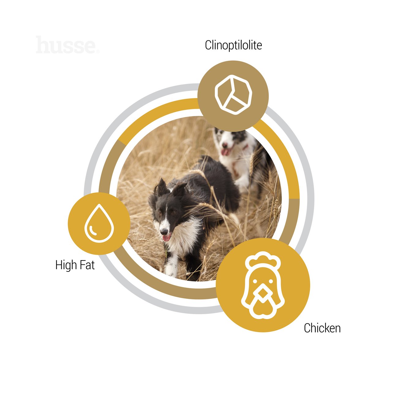 Opus Farm, 2 x 12kg - Husse Natural Complete Adult Dry Dog Food Chicken & Potatoe Grain-Free Hypoallergenic