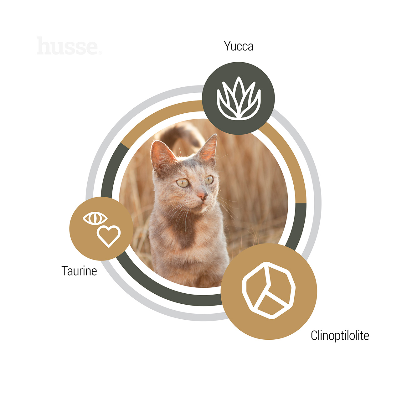 Exclusive Digest, 2kg - Husse Natural Complete Adult Delicious Dry Cat Food Lamb & Rice Hypoallergenic