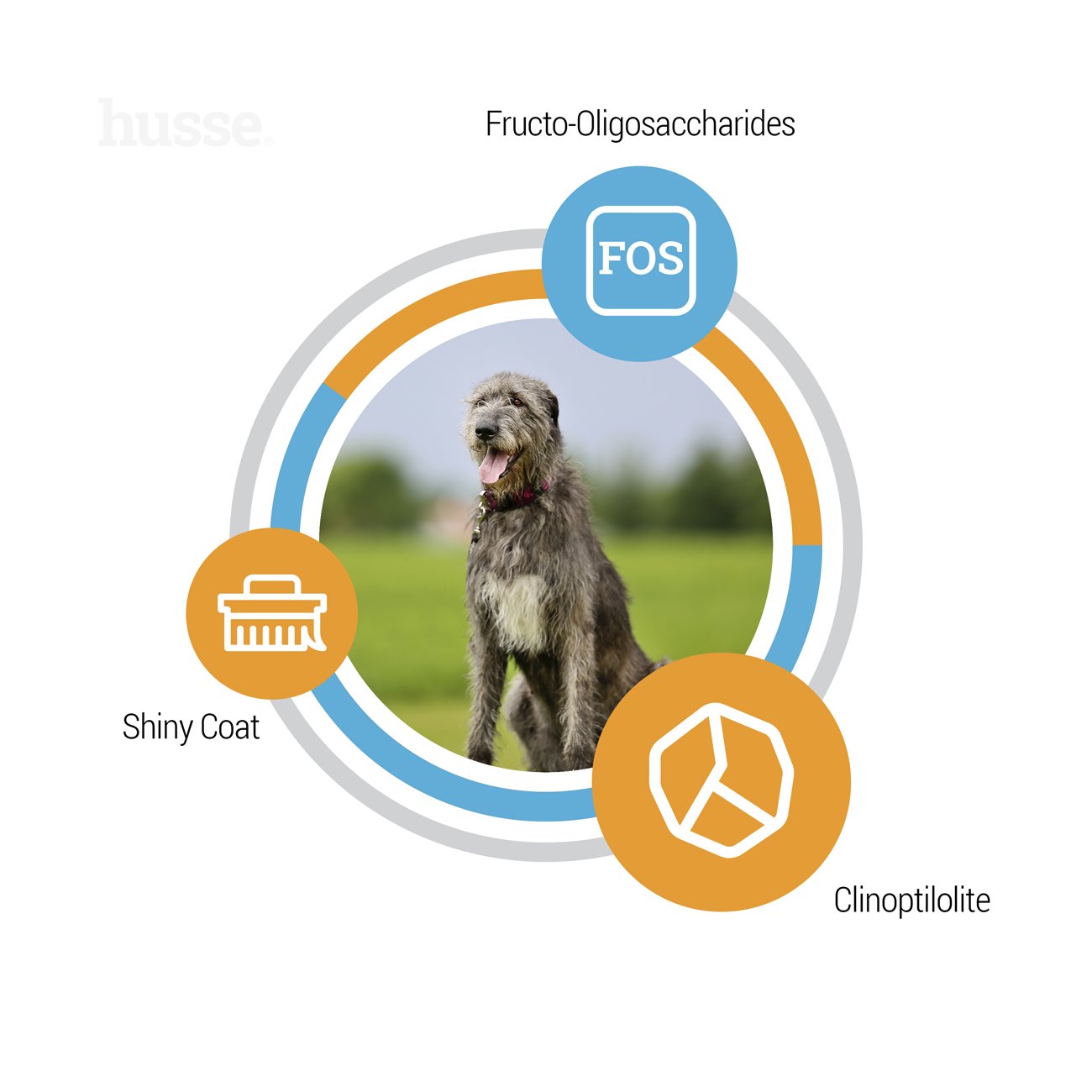 Optimal Giant, 12kg - Husse Natural Complete Adult Dry Dog Food Chicken High Energy for Large Active Dogs