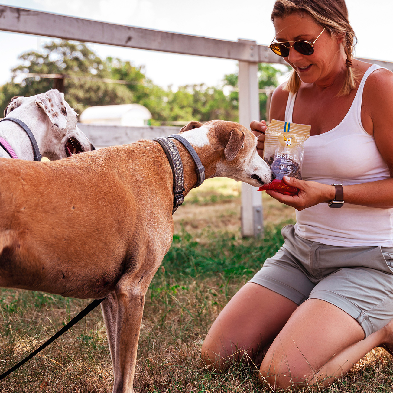 Bravo L, 150 g | Gluten free snacks with lamb