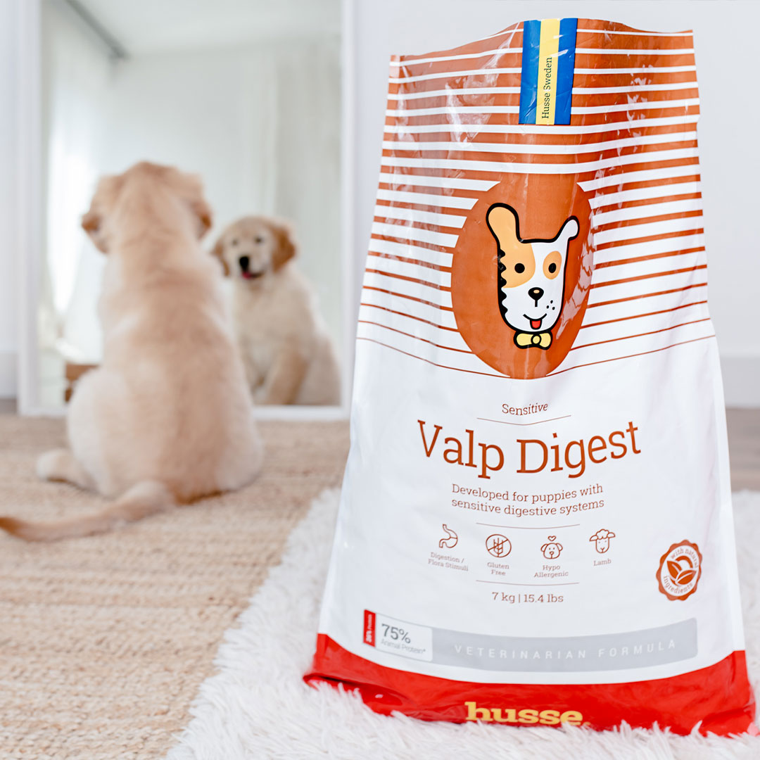 Sensitive Valp Digest, 2 x 12.5kg - Husse Natural Complete Puppy Dry Dog Food Lamb & Rice Gluten-Free Hypoallergenic