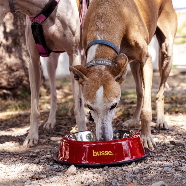 Bowl, S | Durable stainless steel pet bowl