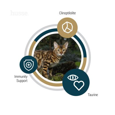 Lynx Senior, 7kg - Husse Natural Complete Senior Delicious Dry Cat Food Chicken & Salmon Grain Free Gluten Free High Protein & Fat Low Carbohydrate
