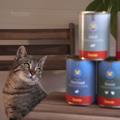 Adult, 415 g | Tasty chunks with beef in a delicious gravy for cats
