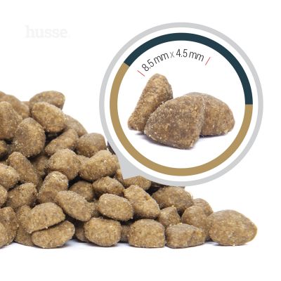 Lynx Senior, 7kg - Husse Natural Complete Senior Delicious Dry Cat Food Chicken & Salmon Grain Free Gluten Free High Protein & Fat Low Carbohydrate