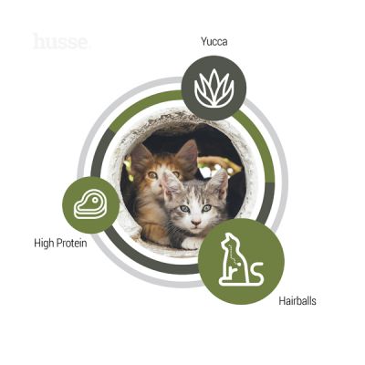 Exclusive Lyster Care, 7kg - Husse Natural Complete Adult Delicious Dry Cat Food Chicken & Salmon High Energy for Active Cats