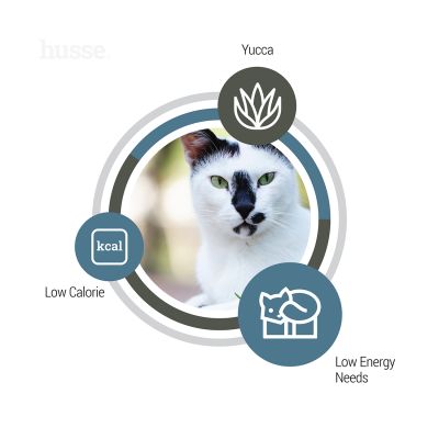 Exclusive Light, 2kg - Husse Natural Complete Adult Light Delicious Dry Cat Food Chicken & Rice Obesity and Weight Management