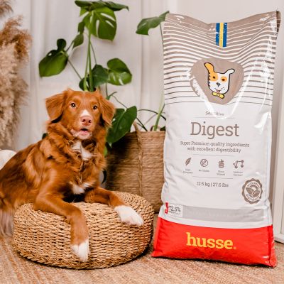 Sensitive Digest, 2 x 12.5kg - Husse Natural Complete Adult Dry Dog Food Lamb & Rice Gluten-Free Hypoallergenic
