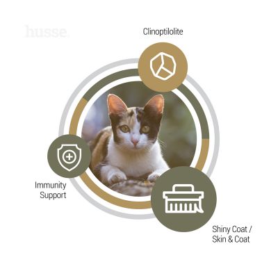 Opus Lynx, 2kg - Husse Natural Complete Adult Delicious Dry Cat Food Chicken & Salmon Grain Free Gluten Free High Protein Low Carbohydrate