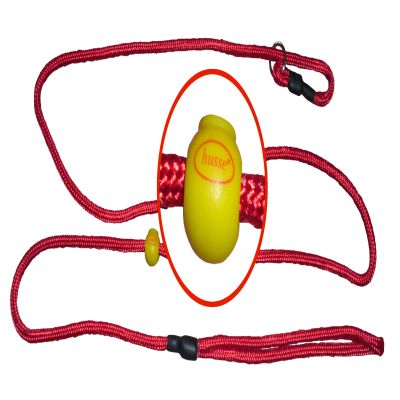 Exhbition Leash: 2 m