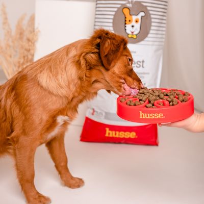 Sensitive Digest, 2 x 12.5kg - Husse Natural Complete Adult Dry Dog Food Lamb & Rice Gluten-Free Hypoallergenic